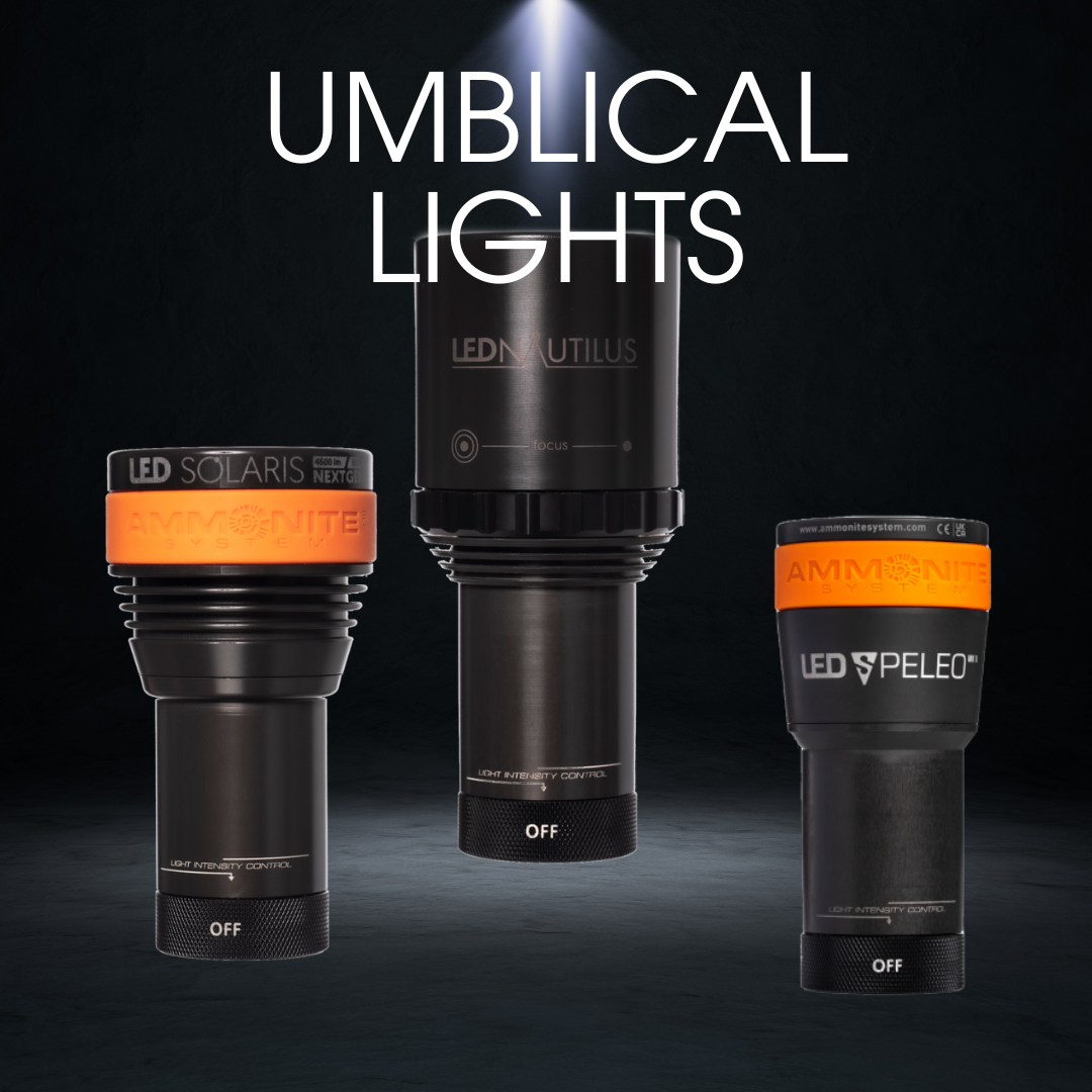 Umbilical lights